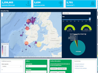  Irish Groundfish Survey (IGFS) Data Explorer