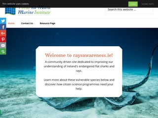 raysawareness.ie